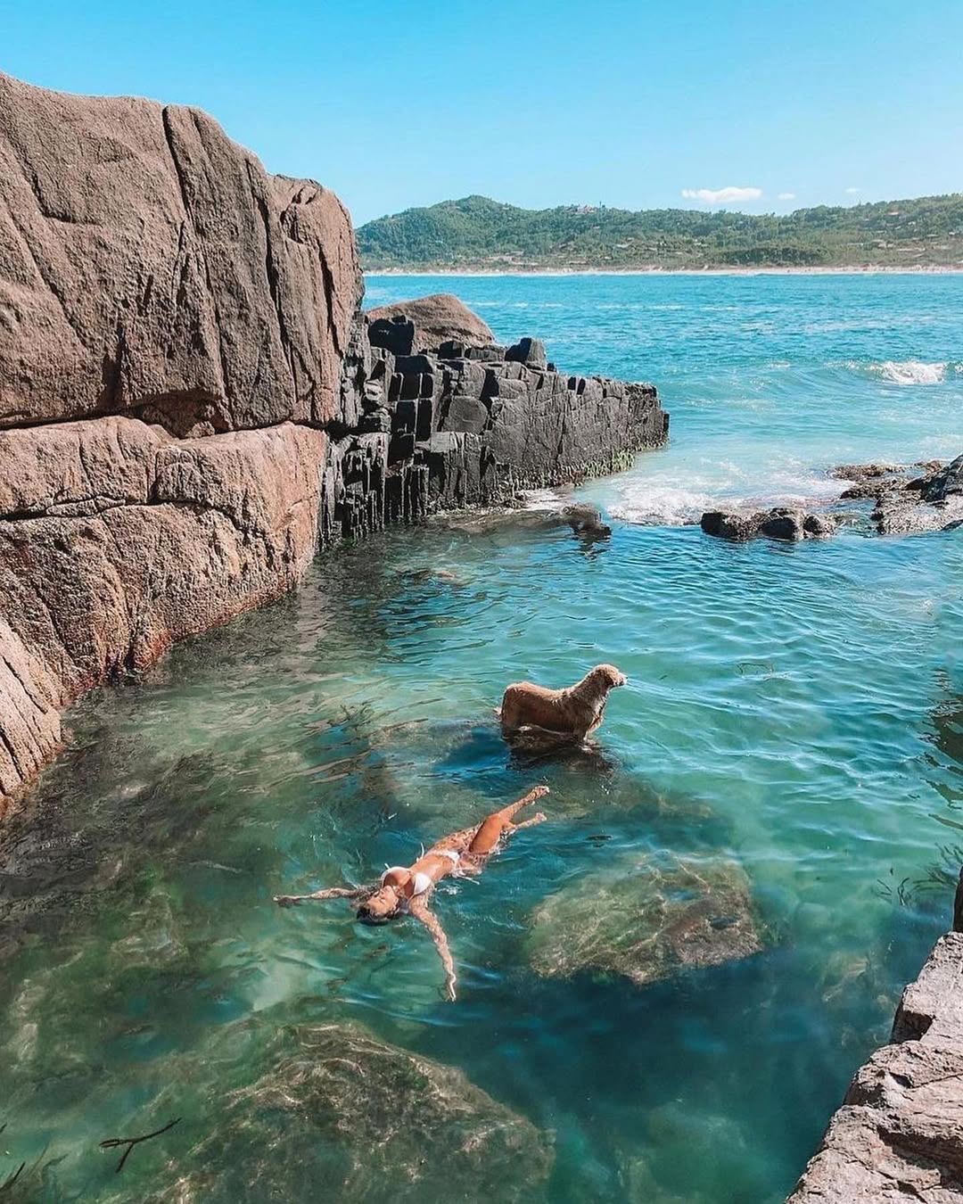 Praia do Rosa — Natureza